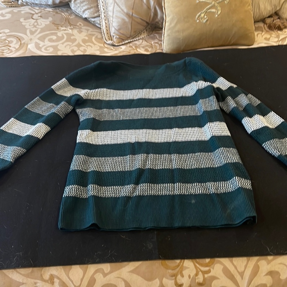Light green and white market&spruce petite sweater.